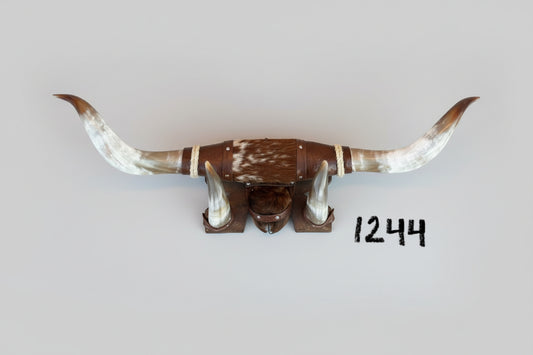 Jefe's XX Large w/Hoof #1244 “Tres Pies c/Pesuña" 36" Horns - Polished Mounted Bull Horns - Steer South West Art Decor