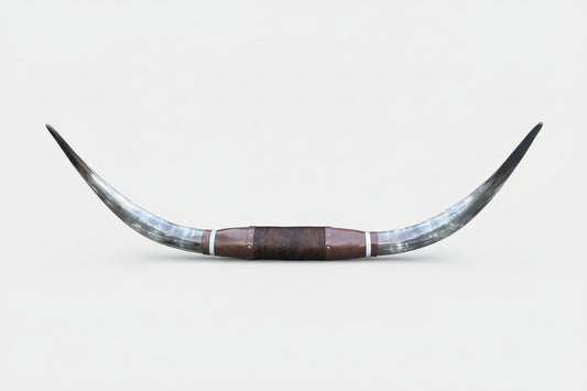Jefe's 4XL "Cinco Pies” Polished Mounted Longhorns - Bull Horns - Steer South West Art Decor