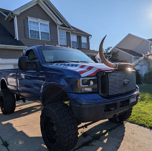 Jefe's VIXL 7ft "Siete Pies” Longhorns | Polished Steer Bull Mounted Taxidermy Art | Cowboy Country Truck South Decor | PICKUP ONLY in DC, MD, VA, TX
