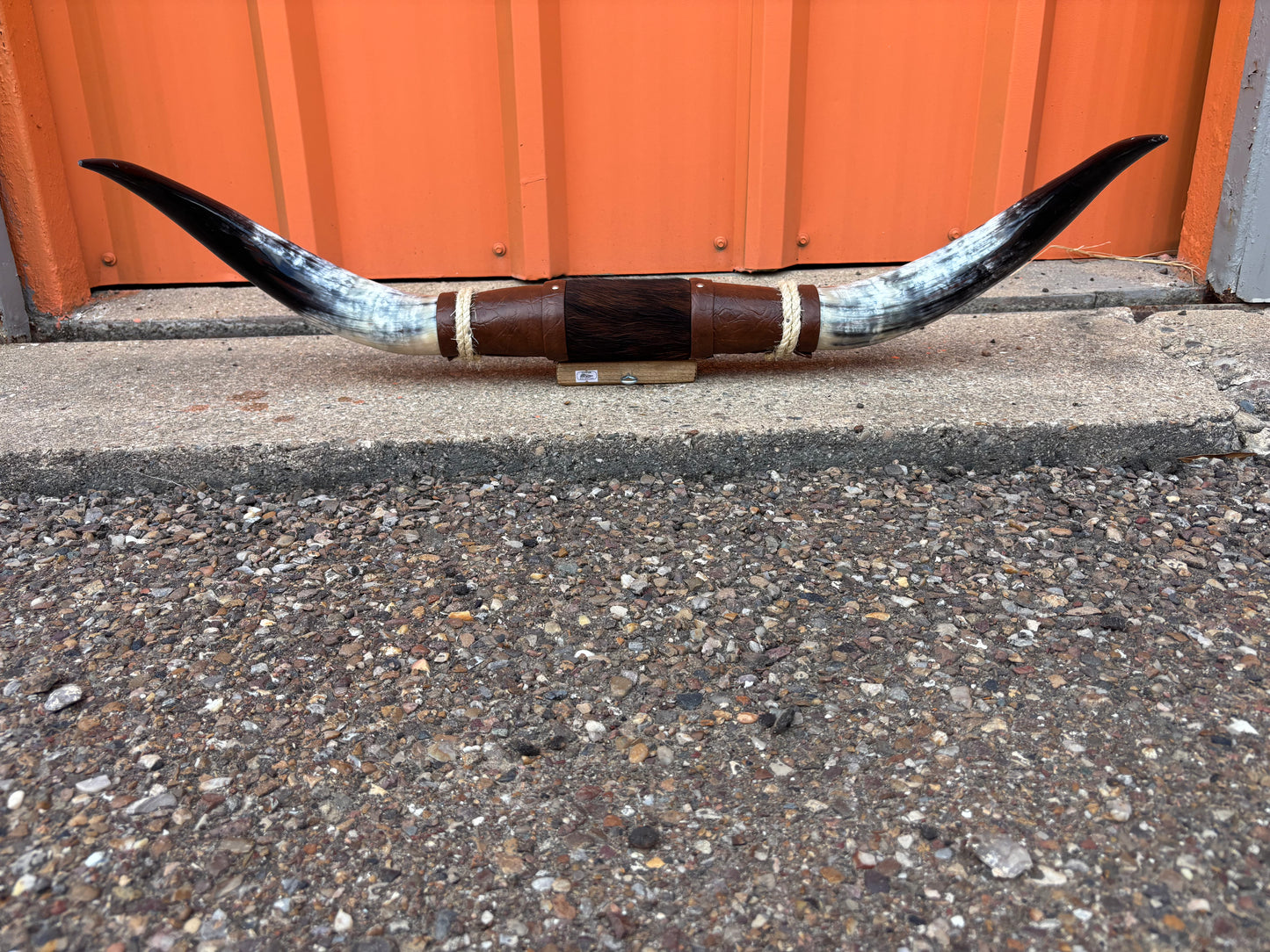 Jefe's SPECIAL #1239 - 33" - XXL "Tres Pies" Bull Horns - Polished Steer Longhorn Mounted Taxidermy - South West Art Cowboy Ranch Decor (Copy) (Copy) (Copy) (Copy)