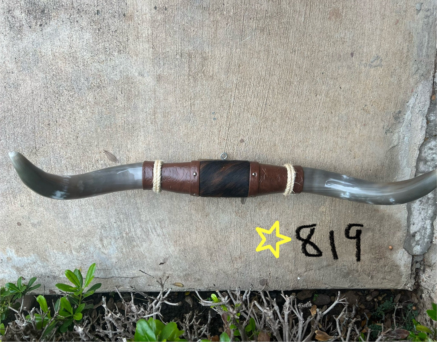 Jefe's SPECIAL #750: XL "Doble Grande" - 27" - Mocha & Curved Black Tip Horns - Polished Mount Longhorn Steer Bull Cowboy Art Decor