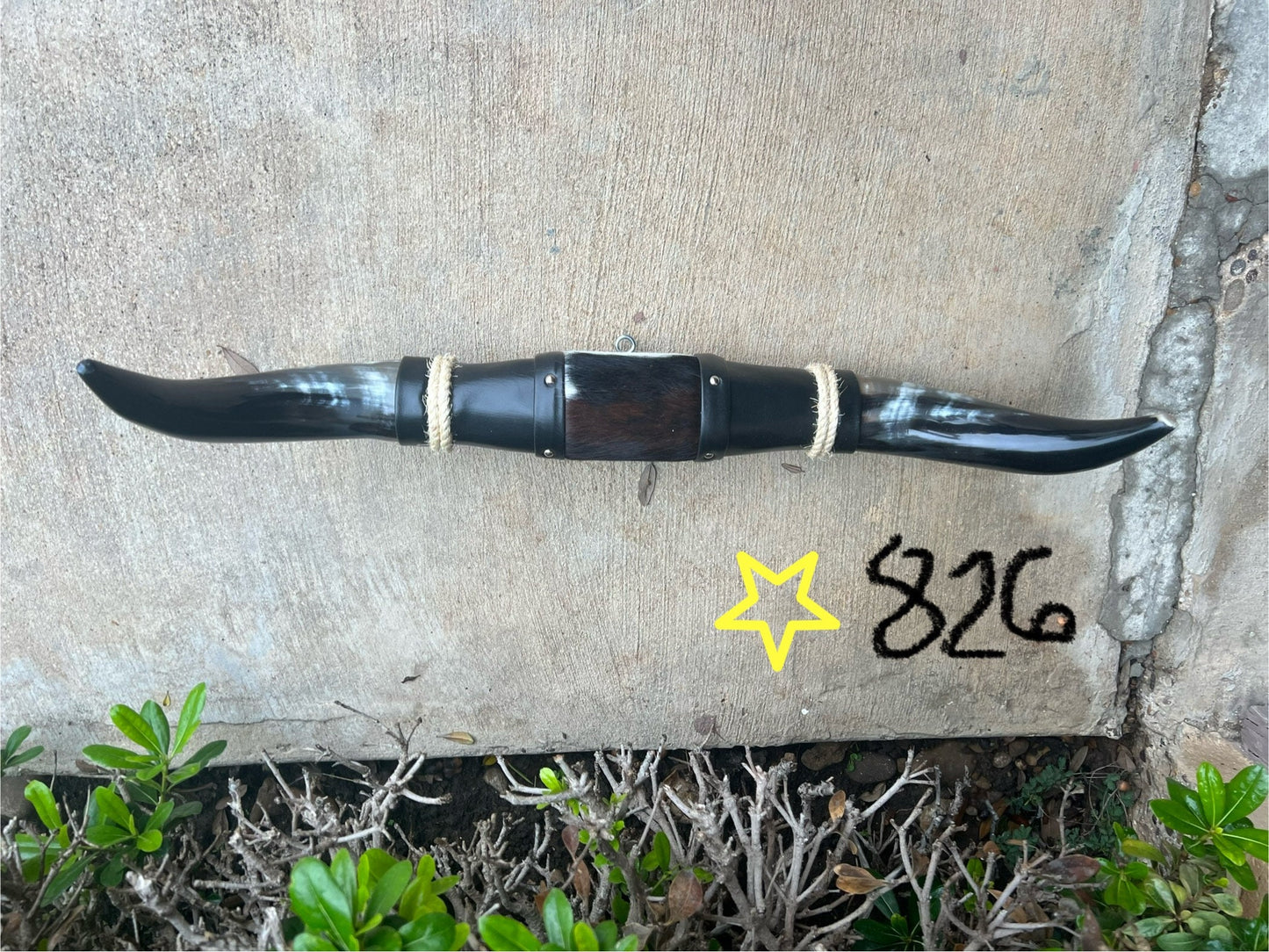 Jefe's SPECIAL #764: XL "Doble Grande" - 27" - Double Black & Curved Black Tip Horns - Polished Mount Longhorn Steer Bull Cowboy Art Decor