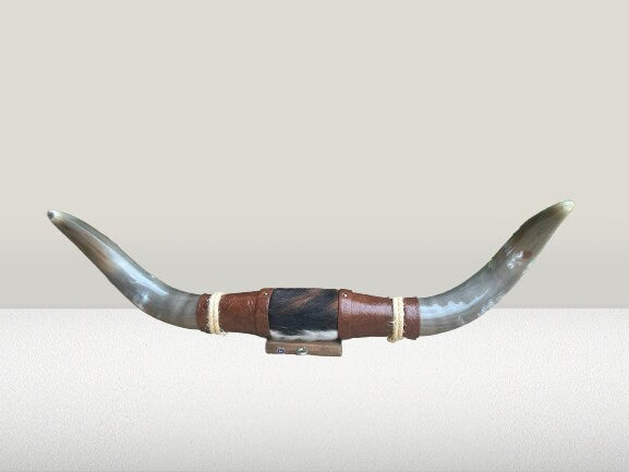 Jefe's SPECIAL #750: XL "Doble Grande" - 27" - Mocha & Curved Black Tip Horns - Polished Mount Longhorn Steer Bull Cowboy Art Decor