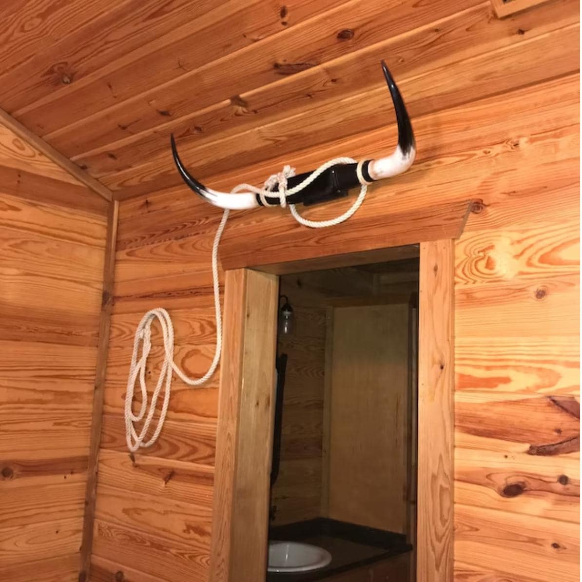 Jefe's XXXL "Cuatro Pies" Bull Horns - Polished Steer Longhorn Mounted Taxidermy - South West Tex-Mex Art - Cowboy Country Ranch Nature Deco