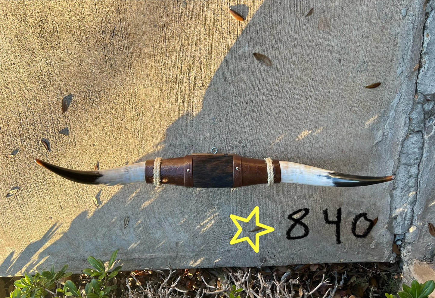 Jefe's SPECIAL #840 - 29" - XL "Doble Grande" Bull Horns - Polished Steer Longhorn Mounted Taxidermy South West Art Cowboy Ranch Wall Decor