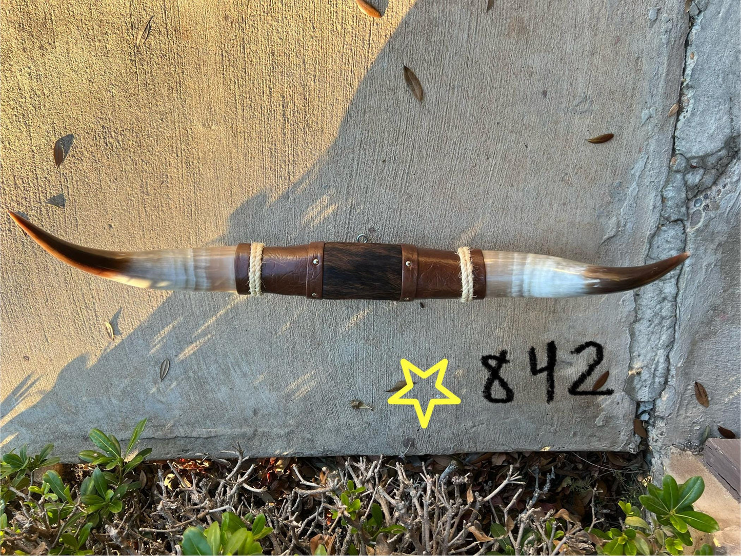 Jefe's SPECIAL #842 - 29" - XL "Doble Grande" Bull Horns - Polished Steer Longhorn Mounted Taxidermy South West Art Cowboy Ranch Wall Decor