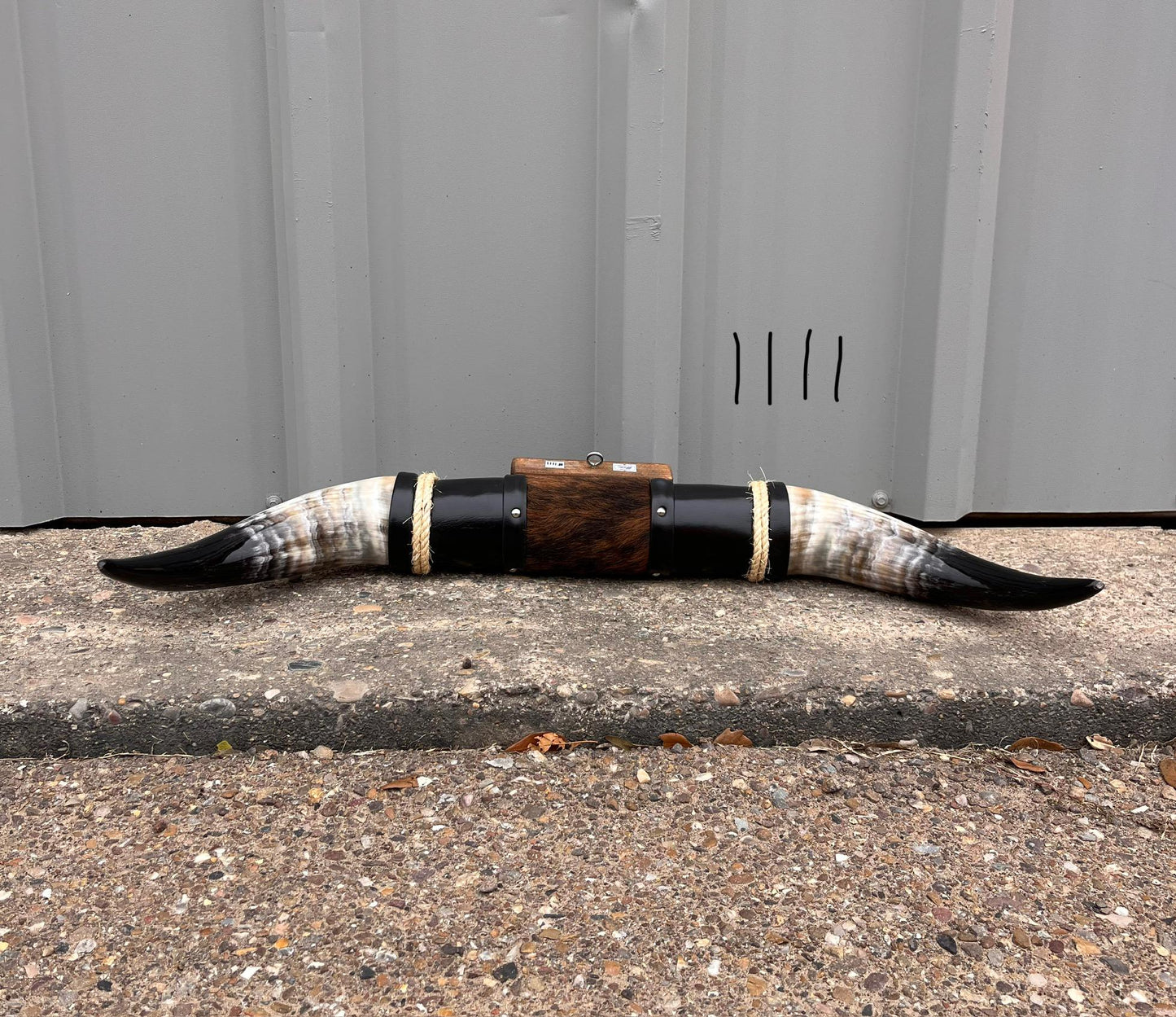 Jefe's SPECIAL #1111- 29" - XL "Doble Grande" Bull Horns - Polished Steer Longhorn Mounted Taxidermy South West Art Cowboy Ranch Wall Decor