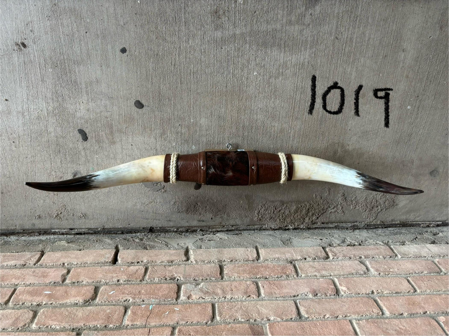 Jefe's SPECIAL #1019 - 40" - XXXL "Cuatro Pies" Bull Horns - Polished Steer Longhorn Mounted Taxidermy - South West Art Cowboy Ranch Decor