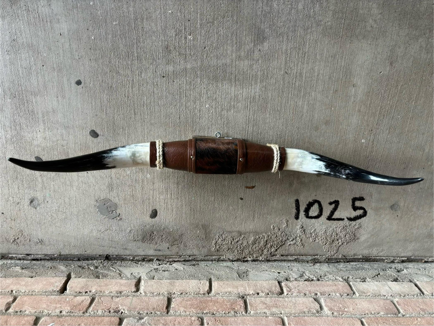 Jefe's SPECIAL #1025- 36" - XXL "Tres Pies" Bull Horns - Polished Steer Longhorn Mounted Taxidermy - South West Art Cowboy Ranch Wall Decor