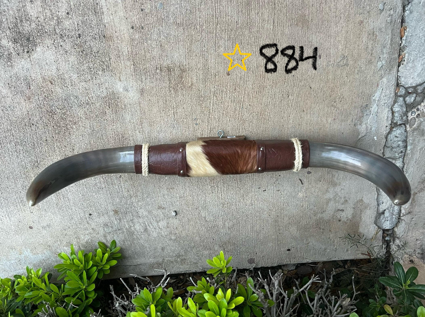 Jefe's SPECIAL #884 - 29" - XL "Doble Grande" Bull Horns - Polished Steer Longhorn Mounted Taxidermy South West Art Cowboy Ranch Wall Decor