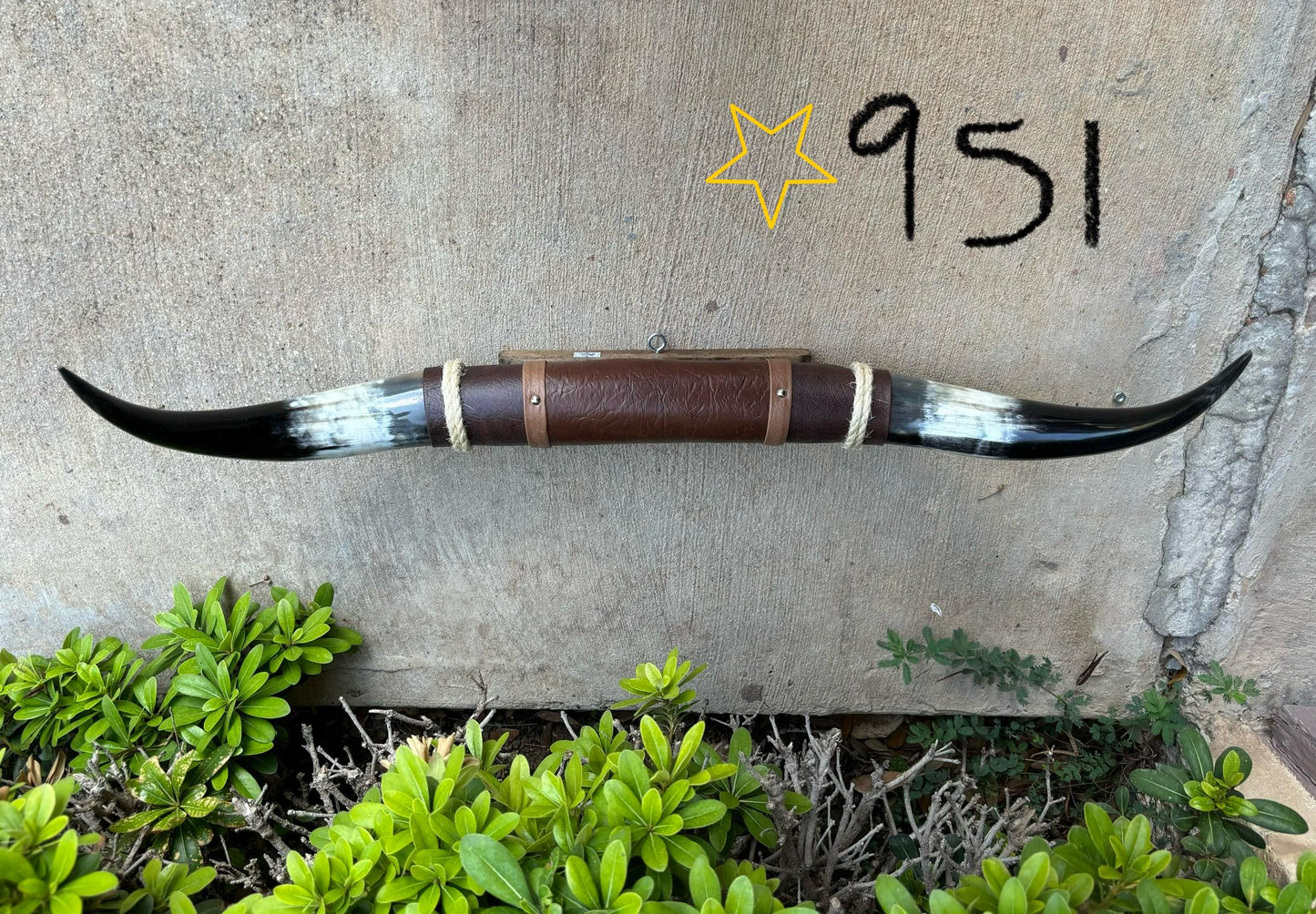 Jefe's SPECIAL #951 - 29" - XL "Doble Grande" Bull Horns - Polished Steer Longhorn Mounted Taxidermy South West Art Cowboy Ranch Wall Decor