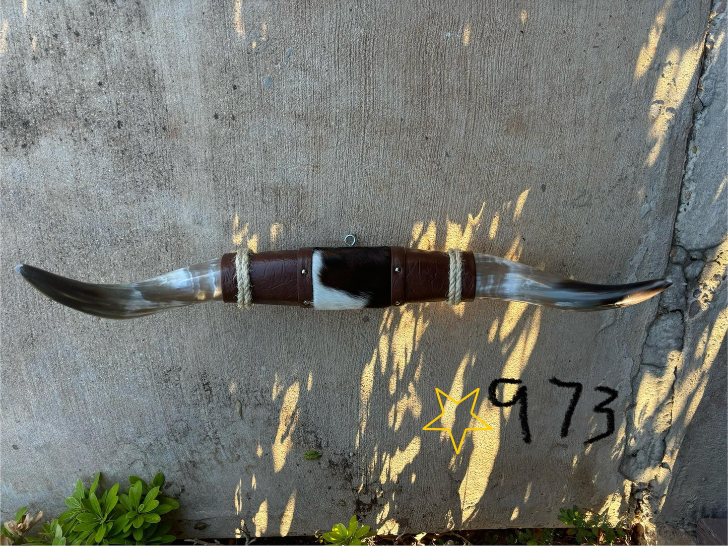 Jefe's SPECIAL #973 - 29" - XL "Doble Grande" Bull Horns - Polished Steer Longhorn Mounted Taxidermy South West Art Cowboy Ranch Wall Decor