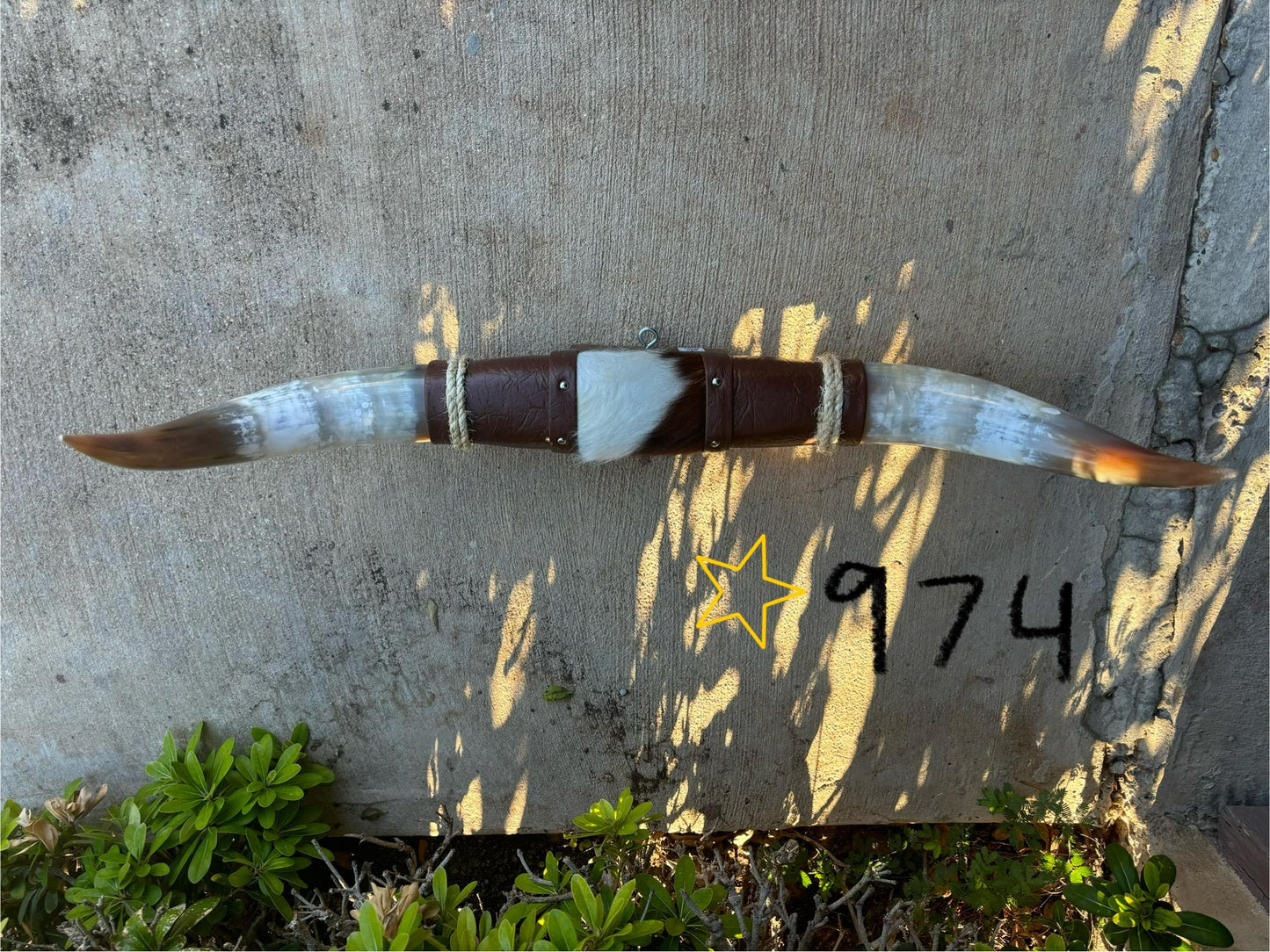 Jefe's SPECIAL #974 - 28" - XL "Doble Grande" Bull Horns - Polished Steer Longhorn Mounted Taxidermy South West Art Cowboy Ranch Wall Decor