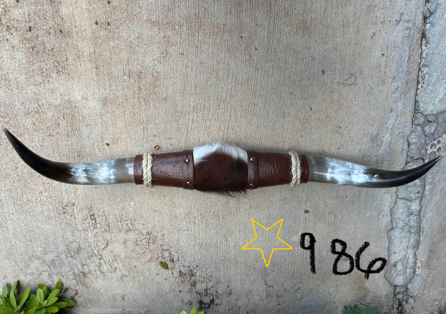 Jefe's SPECIAL #986- 28" - XL "Doble Grande" Bull Horns - Polished Steer Longhorn Mounted Taxidermy South West Art Cowboy Ranch Wall Decor