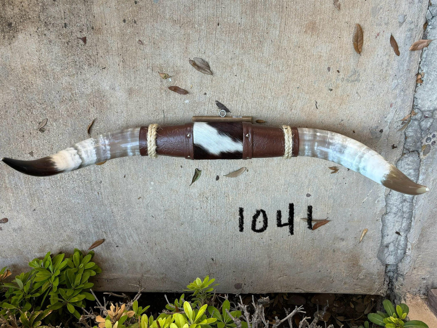 Jefe's SPECIAL #1041- 28" - XL "Doble Grande" Bull Horns - Polished Steer Longhorn Mounted Taxidermy South West Art Cowboy Ranch Wall Decor