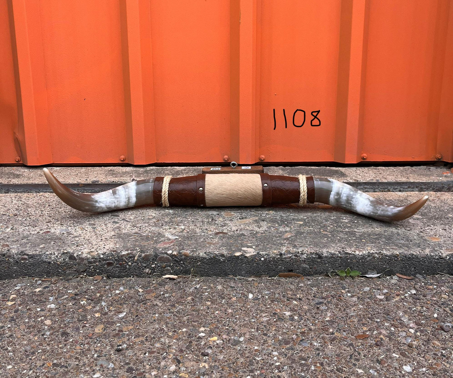 Jefe's SPECIAL #1108 - 30" - XL "Doble Grande" Bull Horns - Polished Steer Longhorn Mounted Taxidermy South West Art Cowboy Ranch Wall Decor