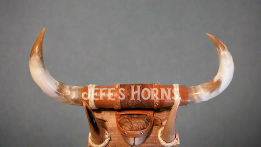 Jefe's Large w/Hoof “Doble c/Pesuña” Horns - Polished Steer Bull Longhorn Mounted Taxidermy - South West Tex-Mex Art - Cowboy Country Rustic Ranch Decor