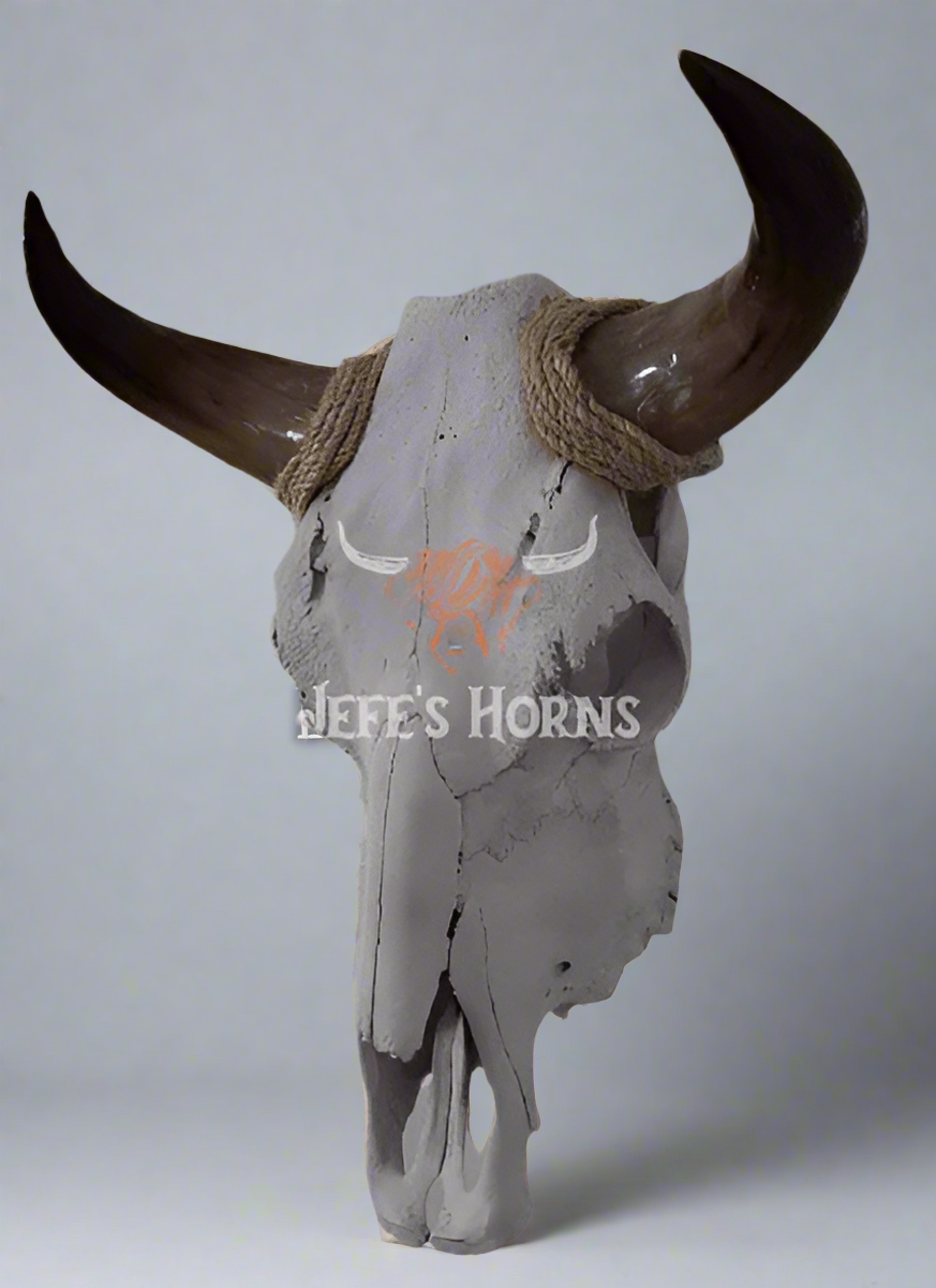 Jefe's Skull “Calavera Sencilla” - Custom Polished Steer Bull Longhorn Mounted Taxidermy - South West Tex-Mex Art - Cowboy Country Rustic Ranch Decor