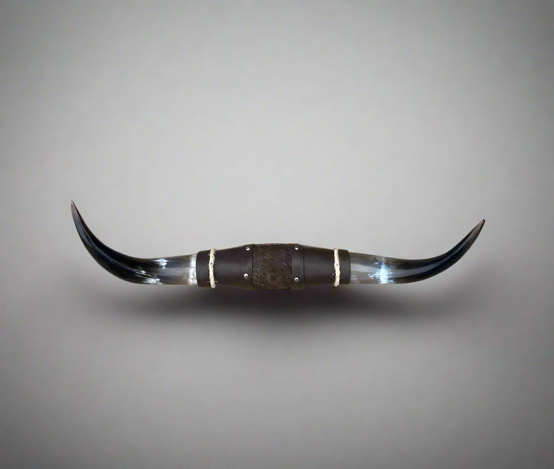 Jefe's Large “Doble” Horns - Polished Steer Bull Longhorn Mounted Taxidermy South Native Art - Cowboy Country Cattle Ranch Farm Truck Decor