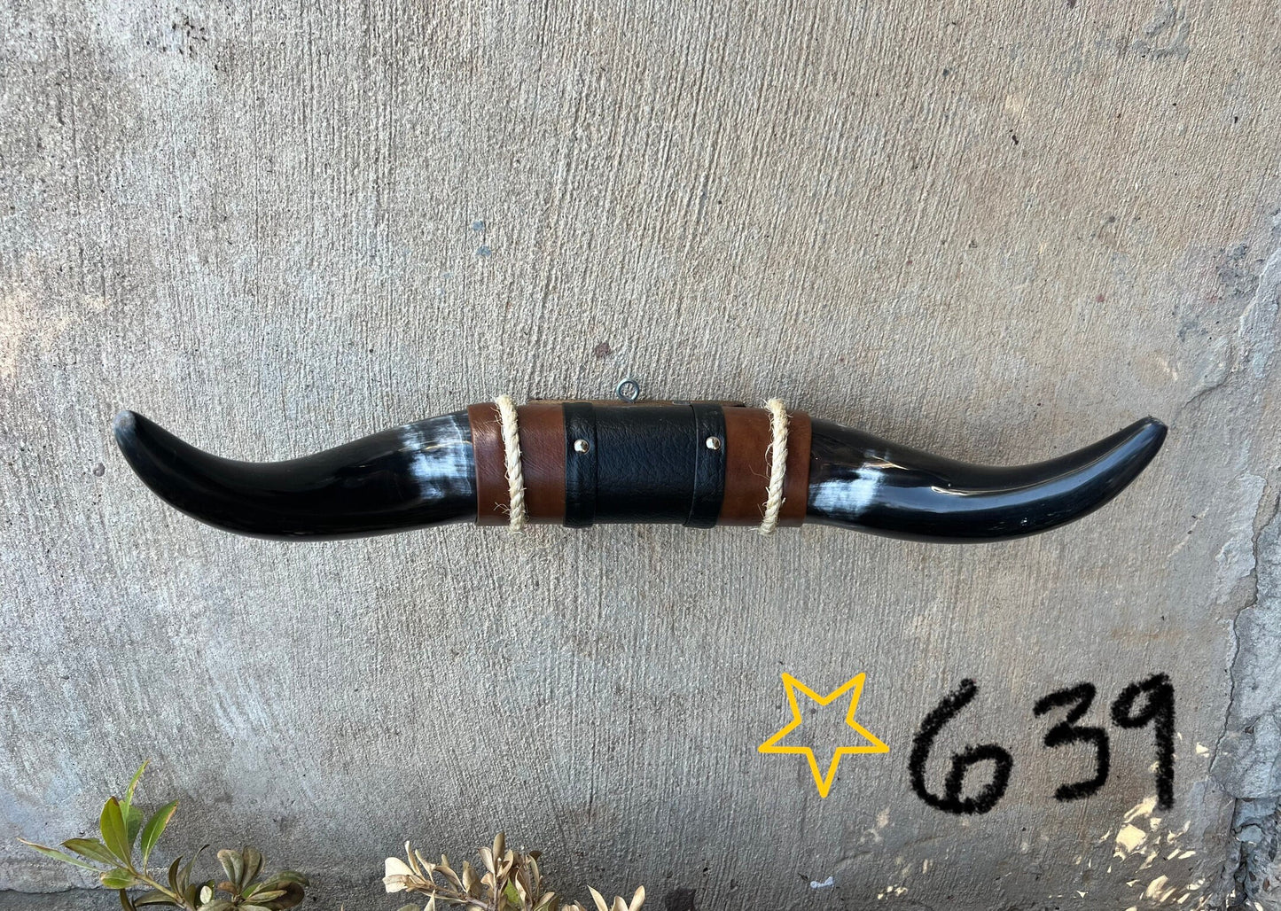 Jefe's SPECIAL #639: Medium "Sencillo" - 18" - Mahogany Mocha w/ Marbled Horns - Polished Mount Longhorn Steer Bull Cowboy Art Decor