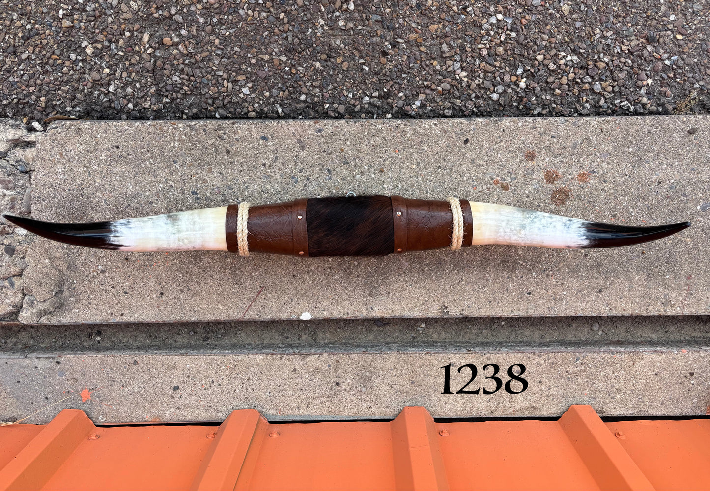 Jefe's SPECIAL #1238 - 35" - XXL "Tres Pies" Bull Horns - Polished Steer Longhorn Mounted Taxidermy - South West Art Cowboy Ranch Decor (Copy) (Copy) (Copy)