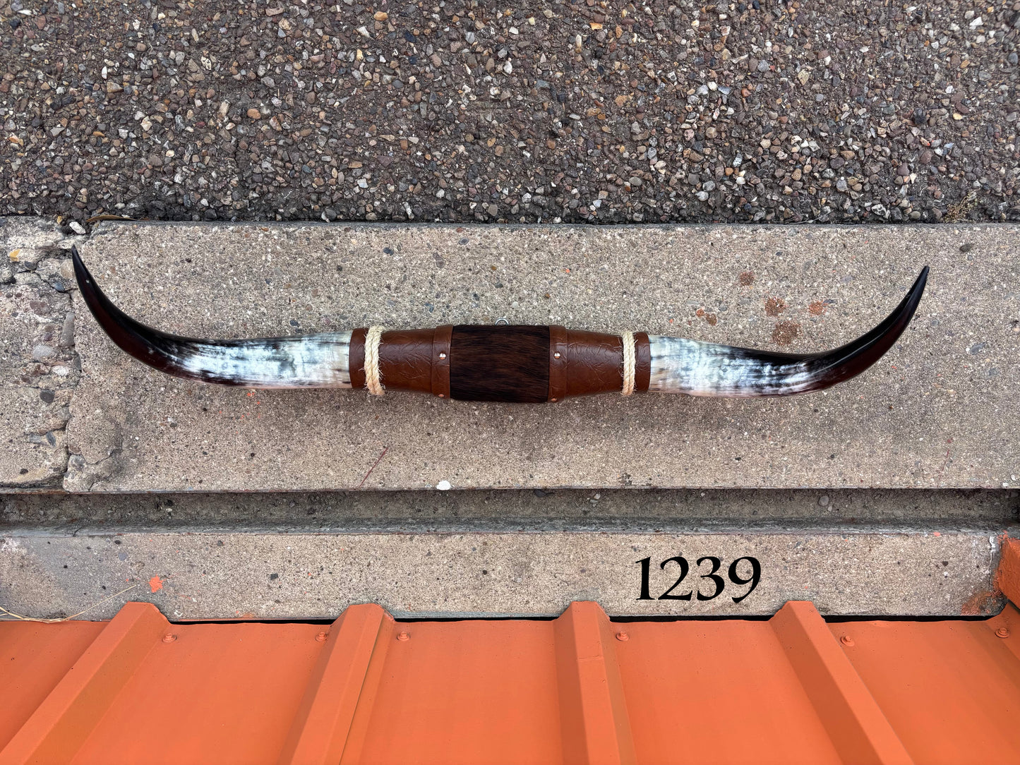 Jefe's SPECIAL #1239 - 33" - XXL "Tres Pies" Bull Horns - Polished Steer Longhorn Mounted Taxidermy - South West Art Cowboy Ranch Decor (Copy) (Copy) (Copy) (Copy)