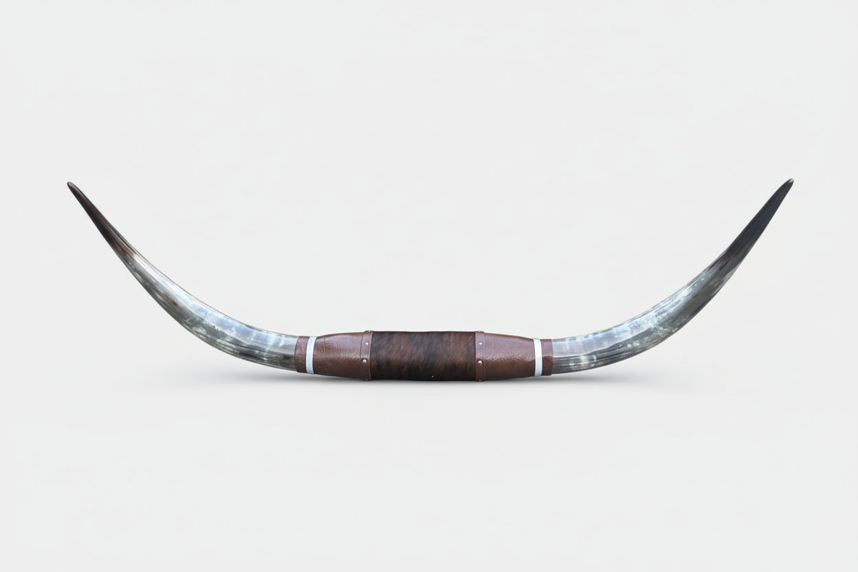Jefe's 4XL "Cinco Pies” Polished Mounted Longhorns - Bull Horns - Steer South West Art Decor