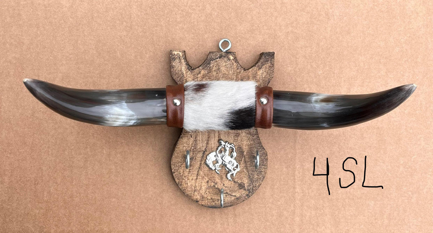 Jefe's Small Keyholder “Llaveros” Steer Horns - Polished Bull Taxidermy Mount - South Native Cowboy Longhorn Art - Ranch Farm Truck Decor