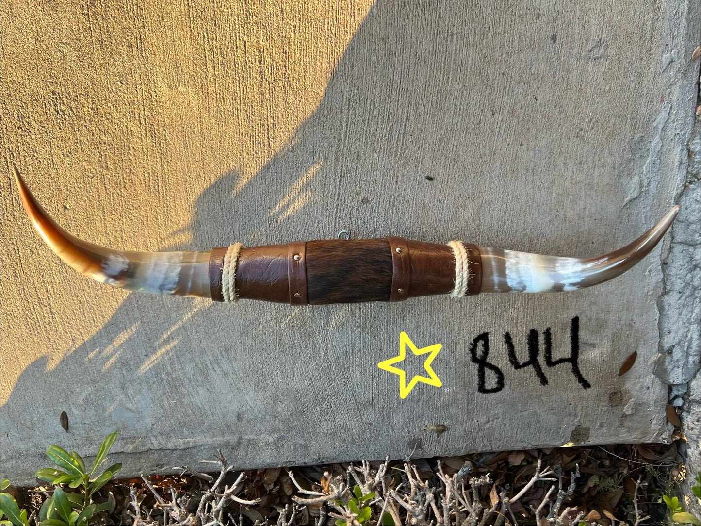 Jefe's SPECIAL #844 - 27" - XL "Doble Grande" Bull Horns - Polished Steer Longhorn Mounted Taxidermy South West Art Cowboy Ranch Wall Decor