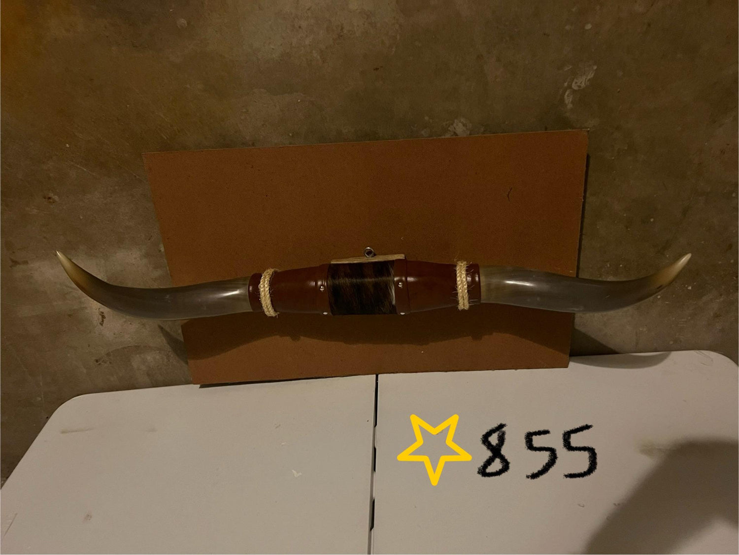 Jefe's SPECIAL #855 - 32" - XL "Doble Grande" Bull Horns - Polished Steer Longhorn Mounted Taxidermy South West Art Cowboy Ranch Wall Decor
