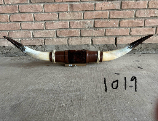 Jefe's SPECIAL #1019 - 40" - XXXL "Cuatro Pies" Bull Horns - Polished Steer Longhorn Mounted Taxidermy - South West Art Cowboy Ranch Decor