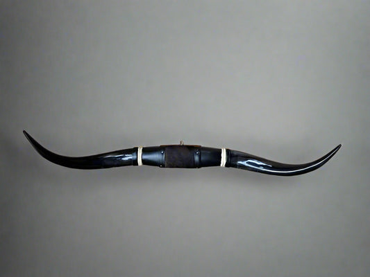 Jefe's SPECIAL #1169 - 39" - XXXL "Cuatro Pies" Bull Horns - Polished Steer Longhorn Mounted Taxidermy - South West Art Cowboy Ranch Decor