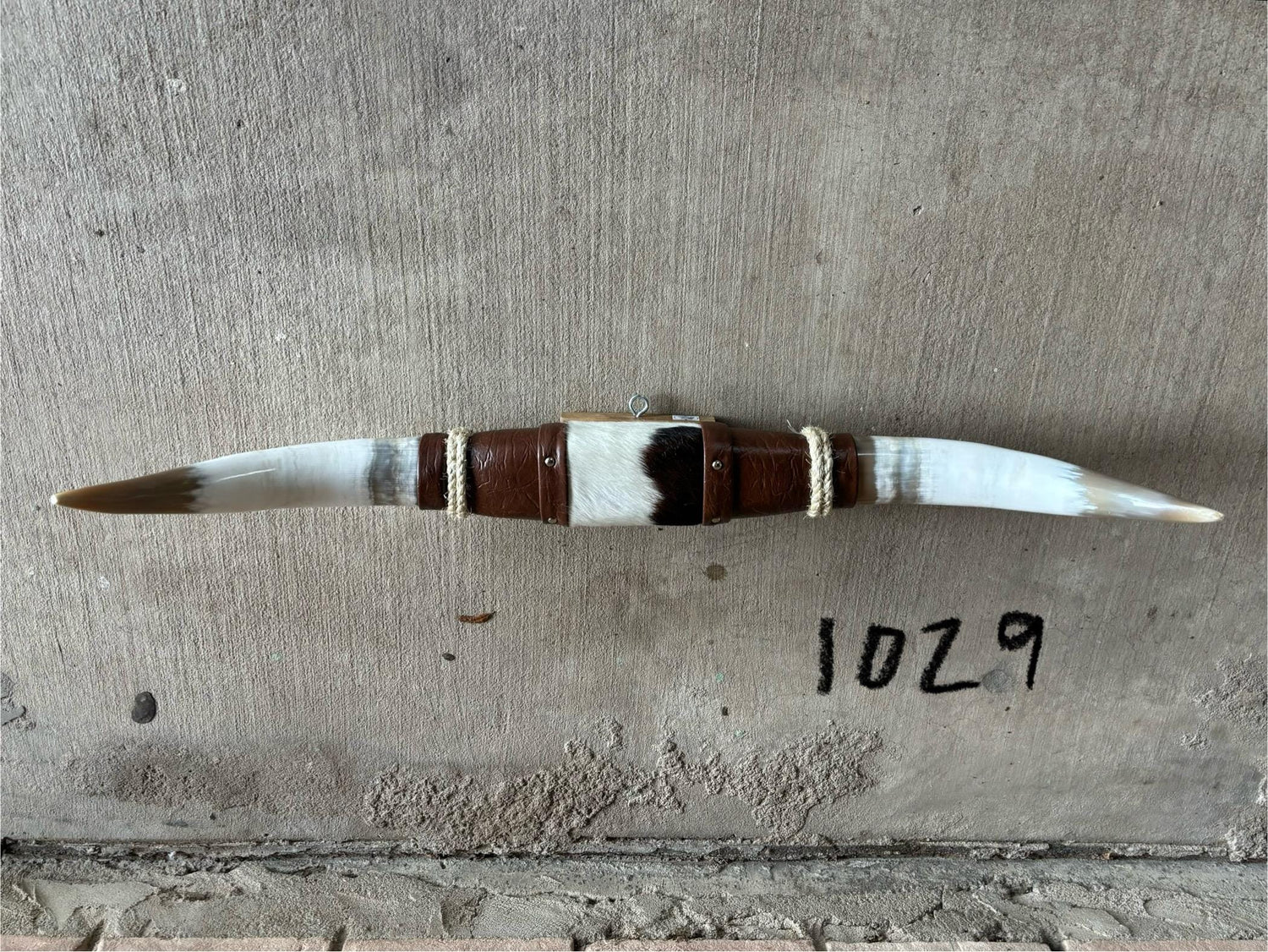 Jefe's SPECIAL #1029- 30" - XL "Doble Grande" Bull Horns - Polished Steer Longhorn Mounted Taxidermy South West Art Cowboy Ranch Wall Decor