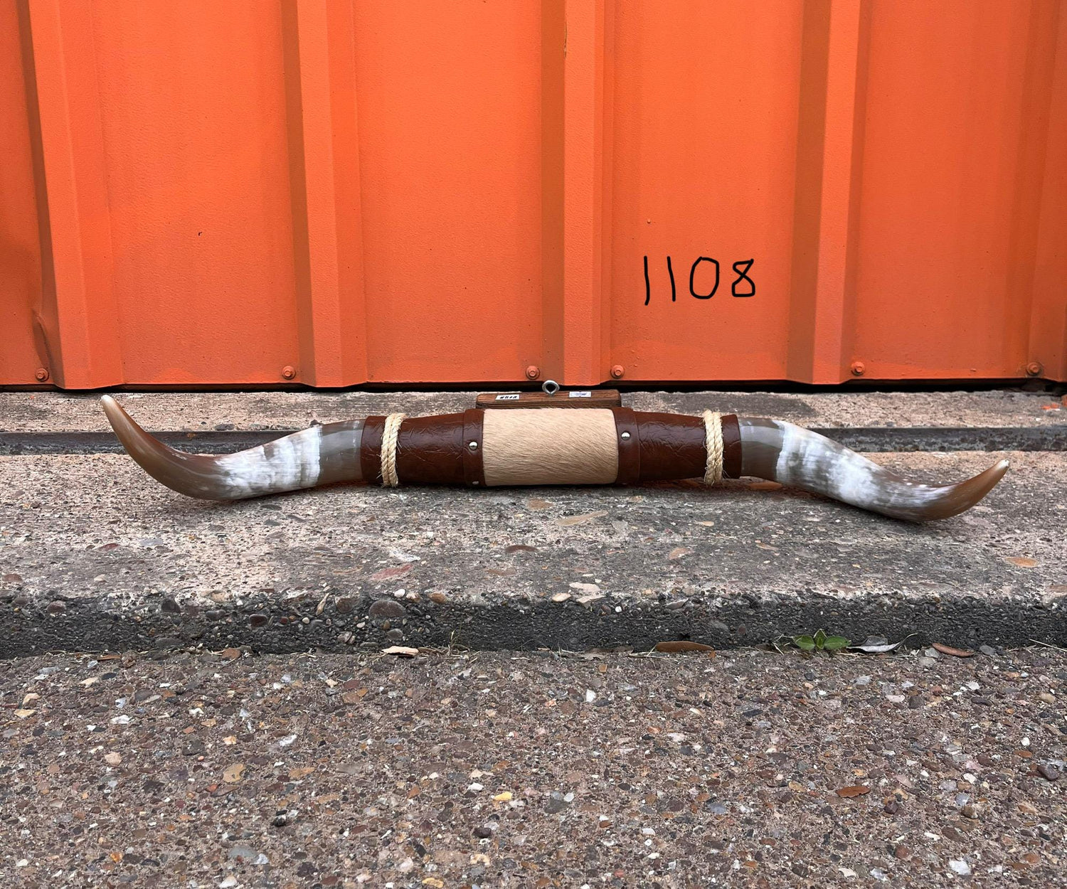 Jefe's SPECIAL #1108 - 30" - XL "Doble Grande" Bull Horns - Polished Steer Longhorn Mounted Taxidermy South West Art Cowboy Ranch Wall Decor