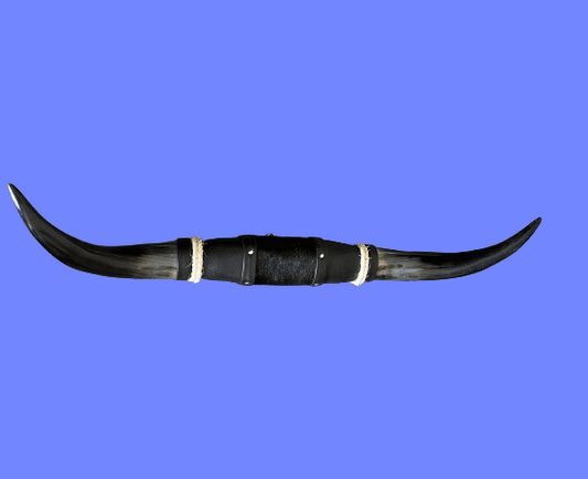 #159 SPECIAL: Double Black - X Large "Doble Grande” - Handcrafted Polished Mounted Steer Horn Tex-Mex Bull Cow Art Decor
