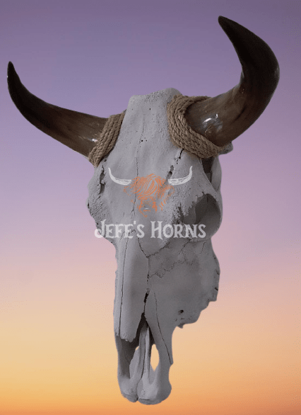 Jefe's Skull “Calavera Sencilla” - Custom Polished Steer Bull Longhorn Mounted Taxidermy - South West Tex-Mex Art - Cowboy Country Rustic Ranch Decor