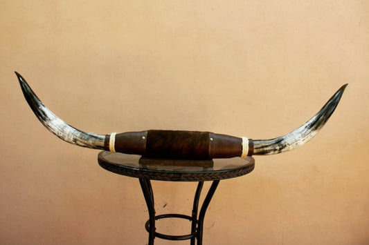 Jefe's XXL "Tres Pies” Bull Horns - Polished Steer Longhorn Mounted Taxidermy - South West Tex-Mex Art - Cowboy Country Ranch Nature Decor