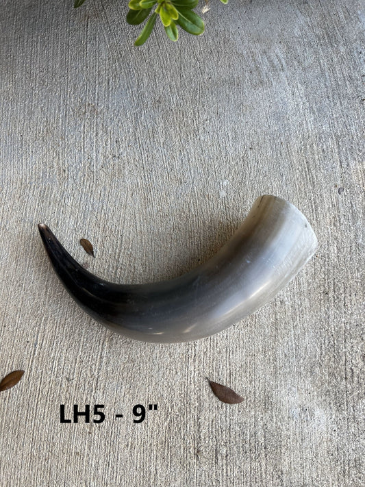 Jefe's Loose Bull Steer Horns | 6" - 9" | (x1 Polished Horn) DIY Cowboy Powder Viking Mug Craft | Country South West Rustic Truck Decor