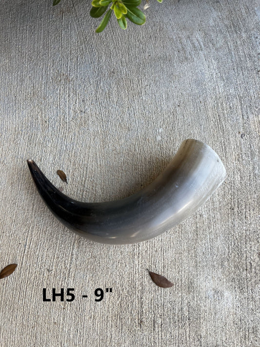 Jefe's Loose Bull Steer Horns | 6" - 9" | (One Polished Horn) DIY Cowboy Powder Viking Mug Craft | Country South West Rustic Truck Decor