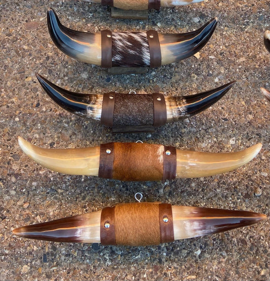 Jefe's Small “Puntilla” Horns - Polished Steer Bull Longhorn Taxidermy Mount South Native Art - Cowboy Country Cattle Ranch Farm Truck Decor