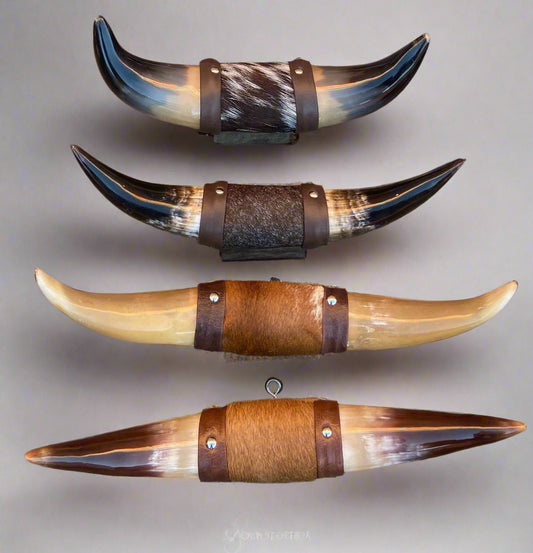 Jefe's Small “Puntilla” Horns - Polished Steer Bull Longhorn Taxidermy Mount South Native Art - Cowboy Country Cattle Ranch Farm Truck Decor