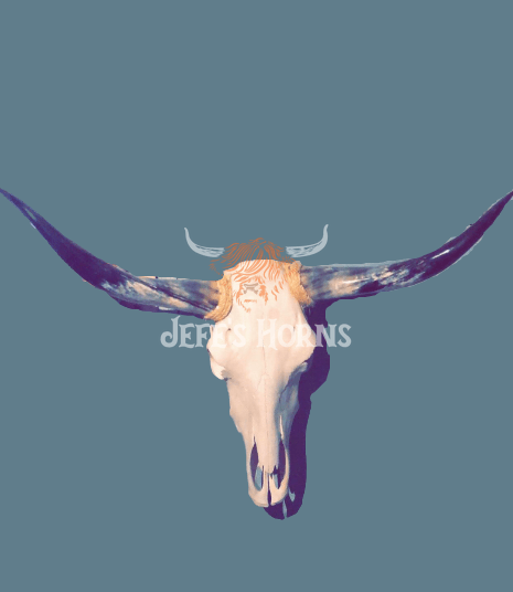 Jefe's Large Skull “Calavera Grande” - Custom Polished Steer Bull Longhorn Mounted Taxidermy - South West Tex-Mex Art - Cowboy Country Rustic Ranch Decor
